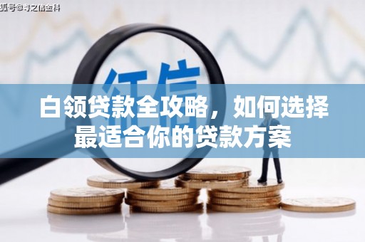 汝南白领贷款全攻略，如何选择最适合你的贷款方案
