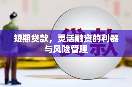 汝南短期贷款，灵活融资的利器与风险管理