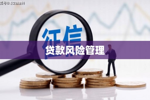 汝南贷款风险管理