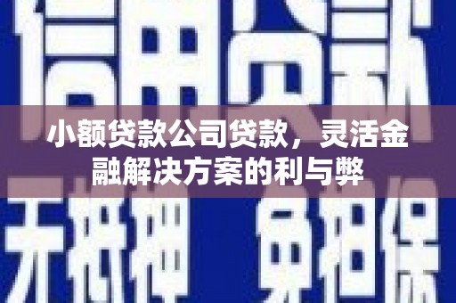 汝南小额贷款公司贷款，灵活金融解决方案的利与弊