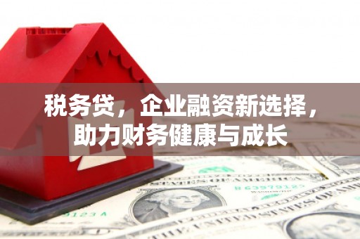 汝南税务贷，企业融资新选择，助力财务健康与成长