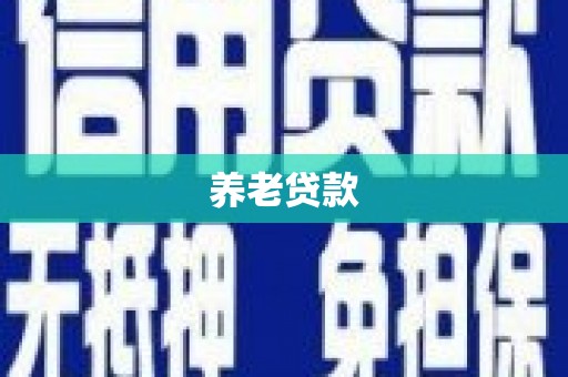 汝南养老贷款